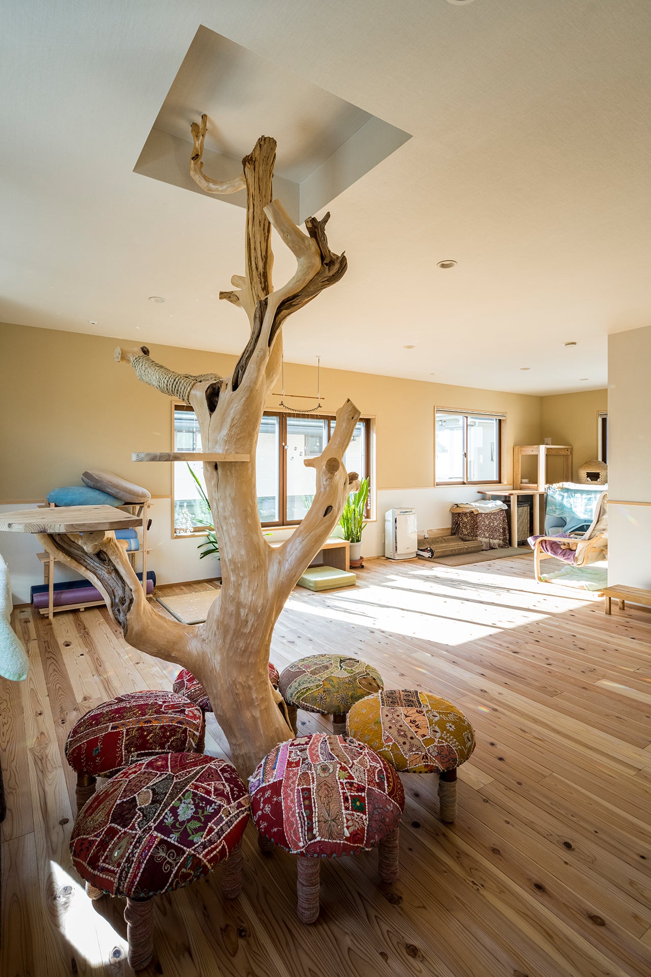 猫ちゃんとのびのび暮らす木の家 | こだわりの自然素材・天然素材の注文住宅・リノベーション（フルリフォーム）の駿河屋